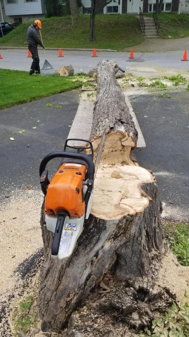 abattage-arbre-carpiquet.jpeg